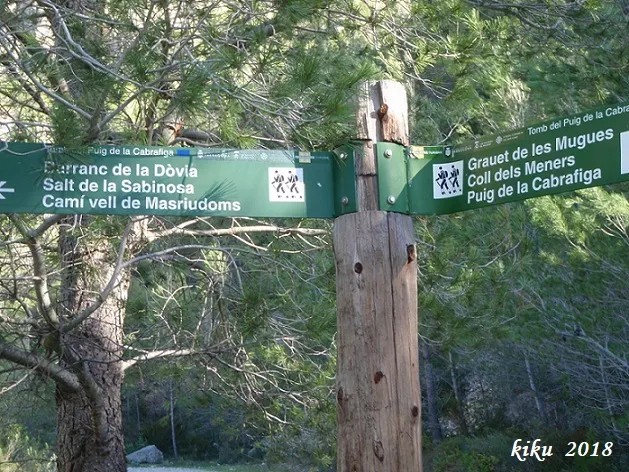 Avenc de la Bassa