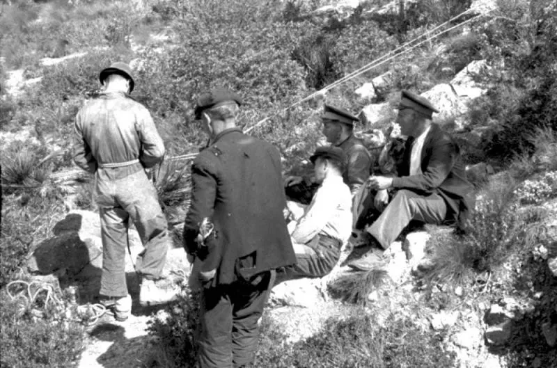 Avencs de l'Esmenador I del Tossal del Jonc