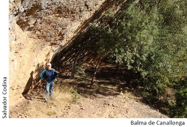 Balma de Canallonga