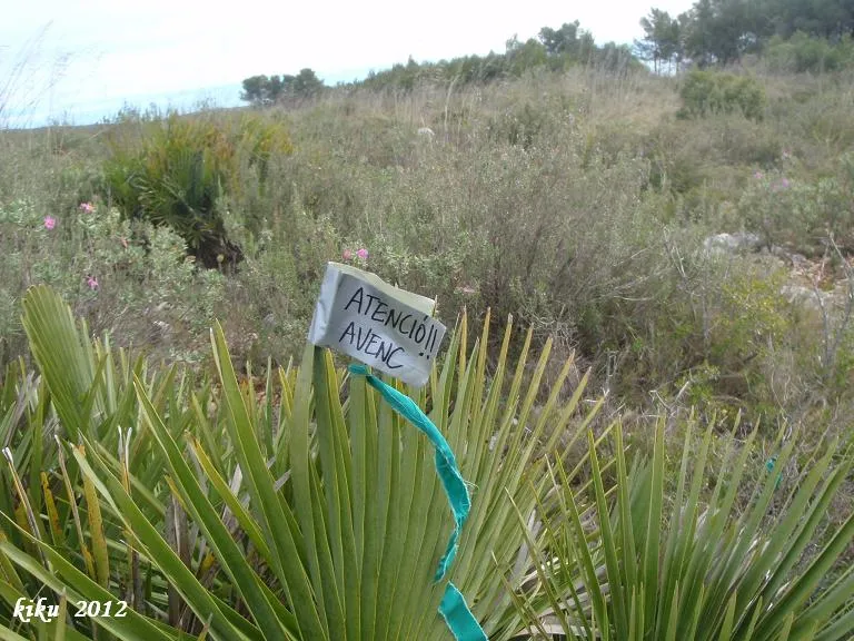 Avenc de la Palma