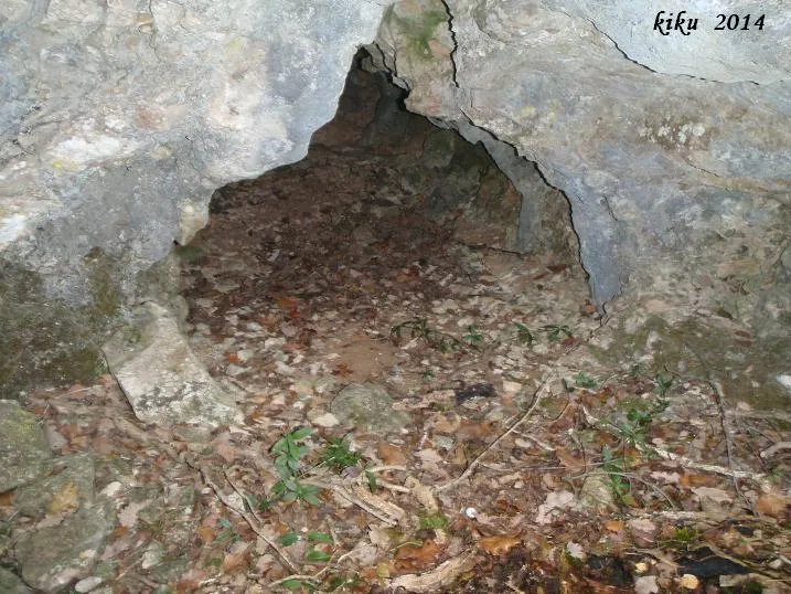 Cova Pg-1
