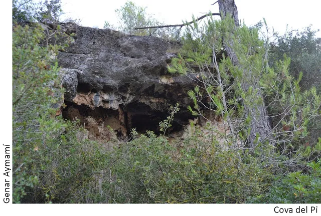 Cova del Pi