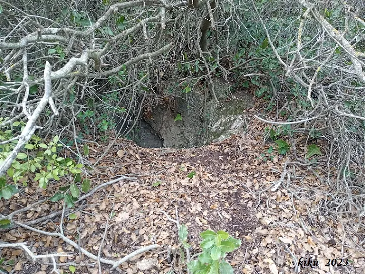 Forat de la Coma d'en Bepo
