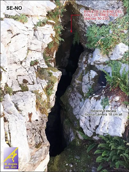 Foto Avenc del Coll de Tres Pics