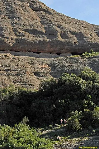 Coves del Bisbe