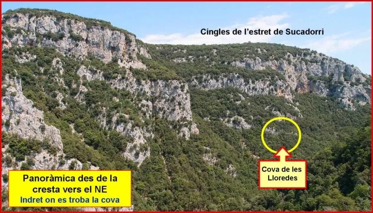 Cova de les Lloredes