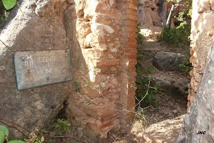 Cova de la Codolosa