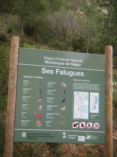 Coves de Ses Falugues