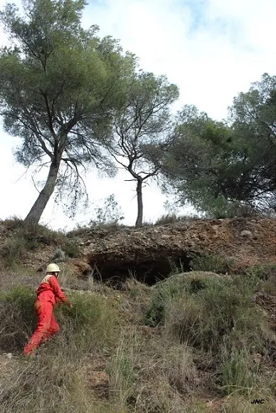 Coveta Nº2 de la Torre Turull