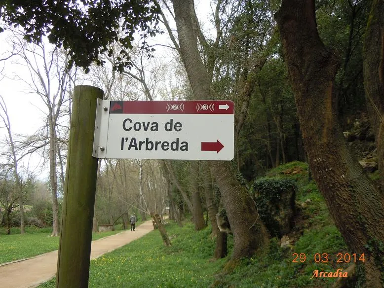 Cova de l'Arbreda