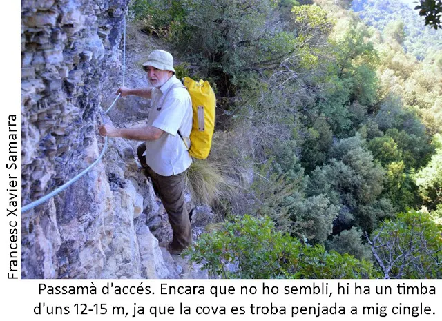 Cova del Duc