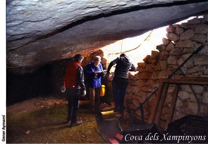 Cova dels Xampinyons