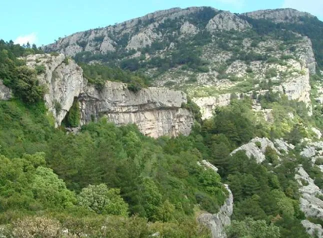 Cova del Vidre