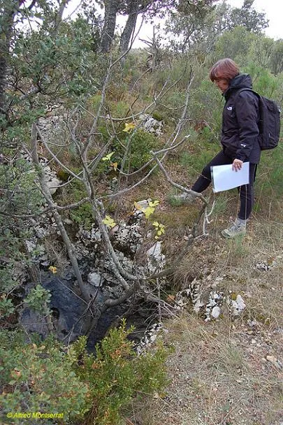 Bòfia de la Valldan