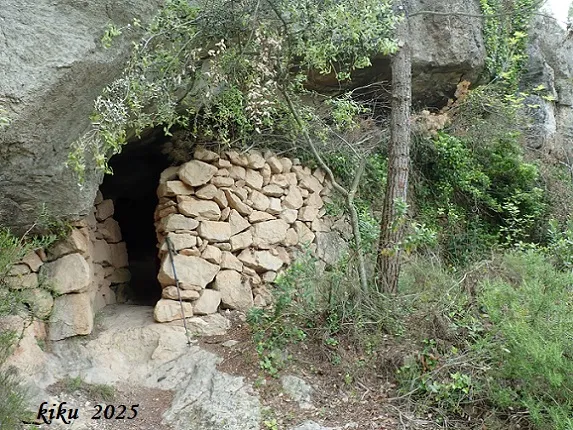 Foto Cova del Rector