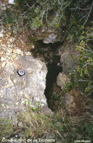 Cova-avenc de la Troneda