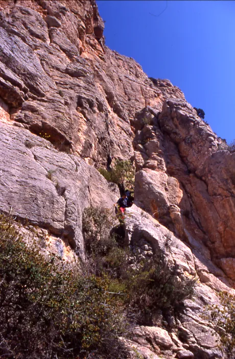 Cova de l'Arcada