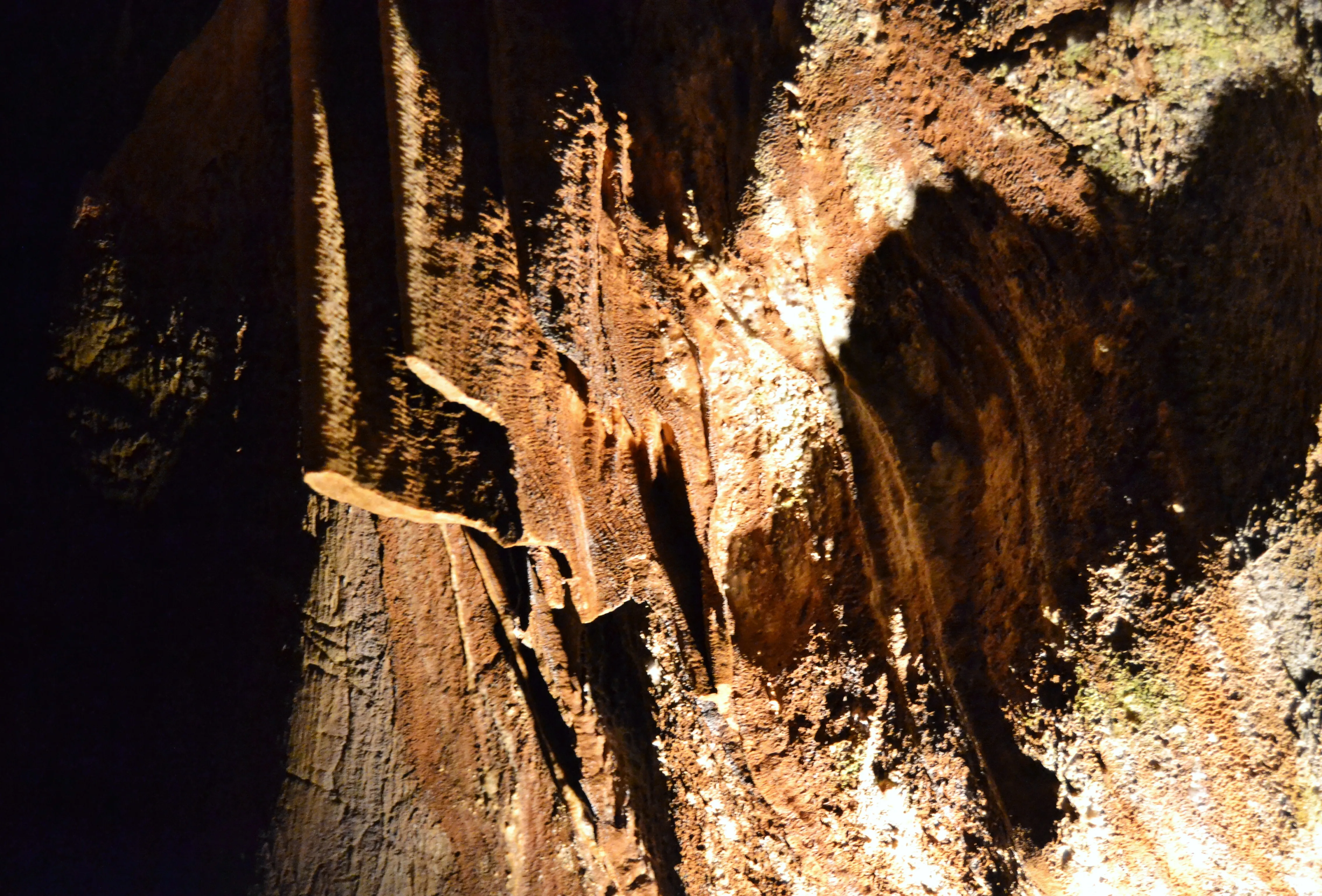 Coves de Sant Josep