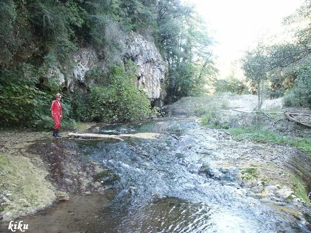 Cova de la Torre