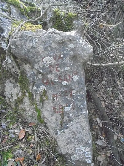 Cova de Cal Sant