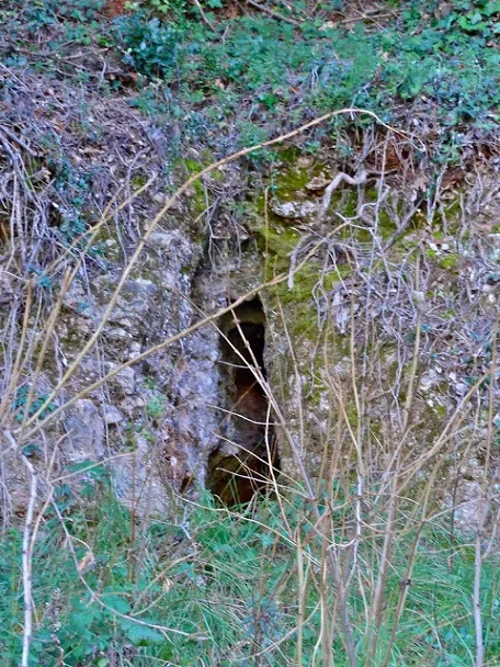Cova del Toixó