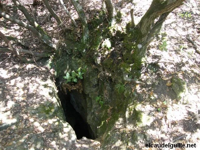 Avenc de la Caseta dels Plans