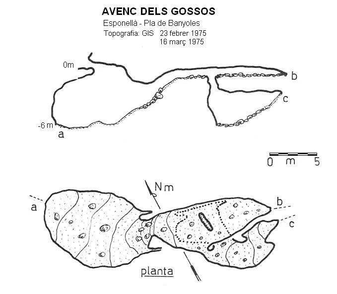 Avenc dels Gossos - Topografia, Esponellà, Pla de l'Estany