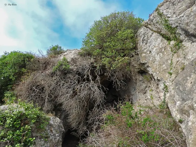 Cova del Portell