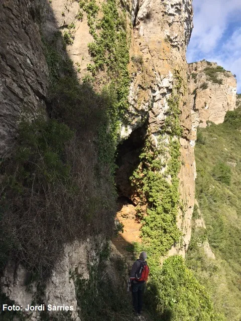 Cova de les Agulles