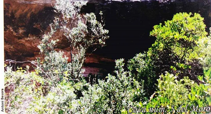 Cova Nº5 del Moro