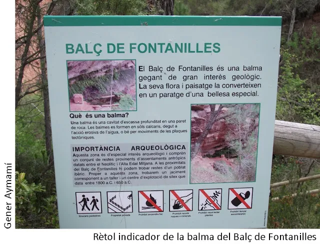 Balma Balç de les Fontanilles