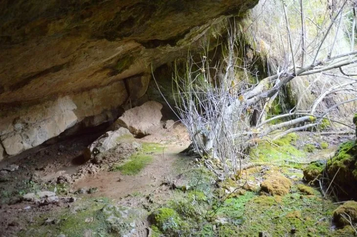 Balma de la Font d'en Pere Costa