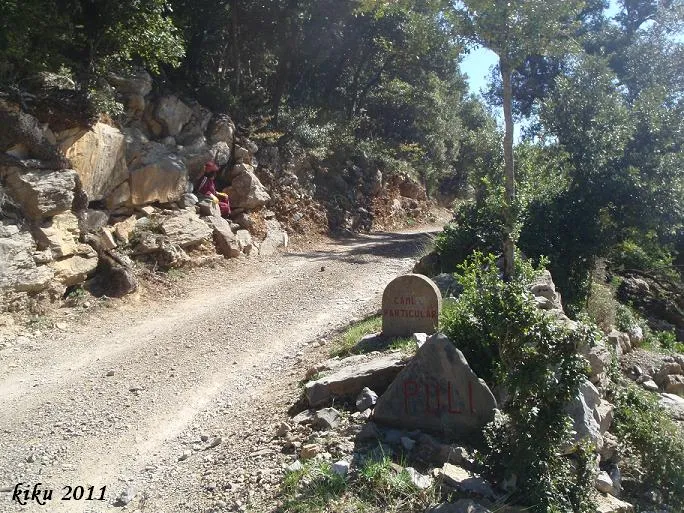 Cova de Can Polí