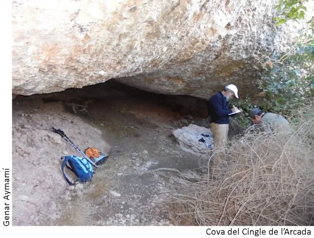 Cova del Cingle de l'arcada