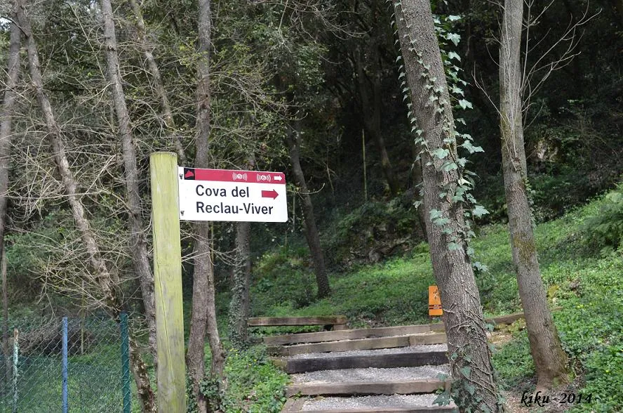 Cova del Reclau Viver
