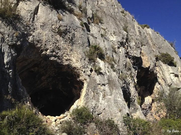 Coves de Bartomeu
