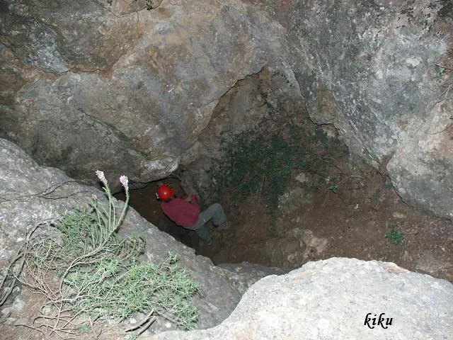 Cova de Coll Verdeguer