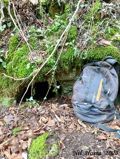 Cova del  Meandre