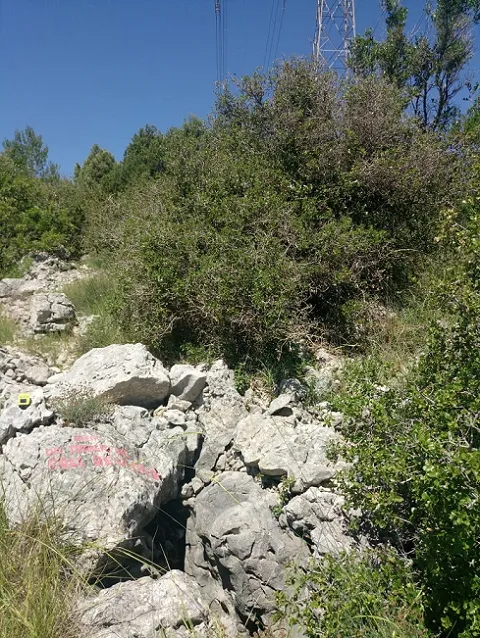 Avenc del Torrent del Coll de la Creu