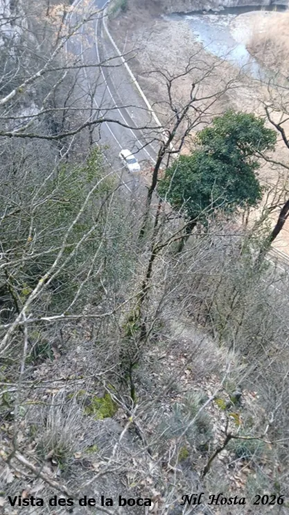 Foto Bauma del Casot