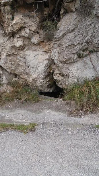 Querant de Riu Merler