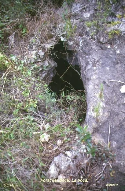 Forat del Deck