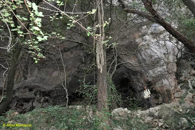 Cova de Mas Vilar