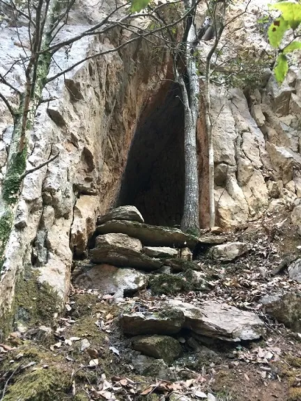 Tuta del Senglar