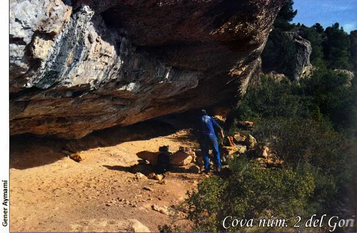 Cova Nº2 del Gori
