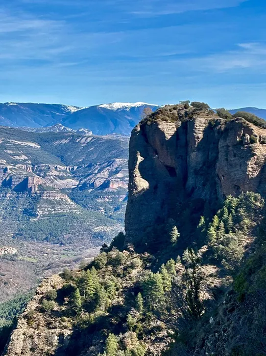 Cova del Càvet