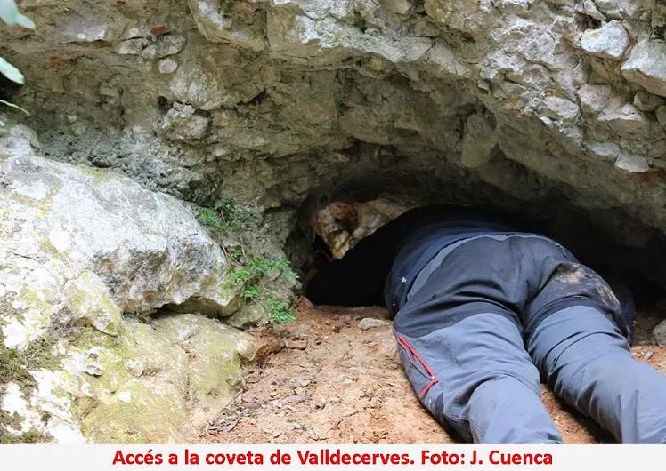 Cova a de Valldecerves