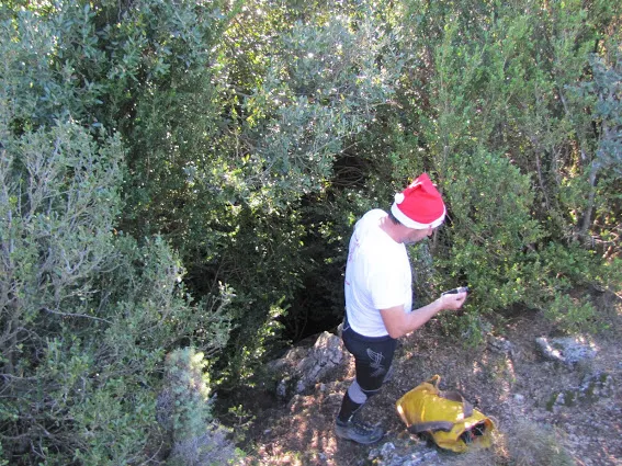 Cova del Grèvol