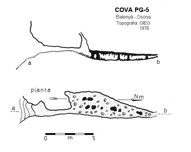 Cova Pg-5