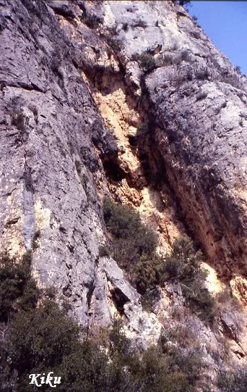 Cova de l'Escaleta